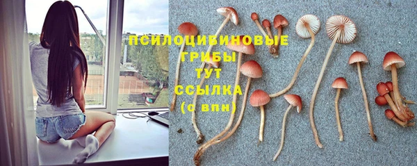 jwh Алзамай